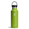 Hydro Flask Standard Mouth 0.5L